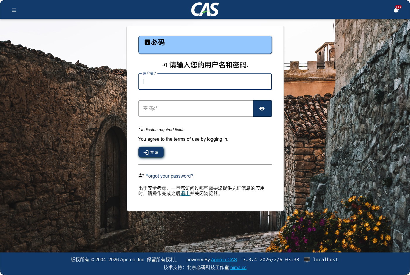 CAS Overlay 7.3.x 登录界面